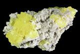 Sulfur Crystals on Matrix - Italy #92615-2